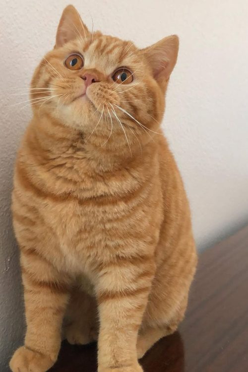 WhatsApp Image 2025-09-25 at 14.40.39 (2)