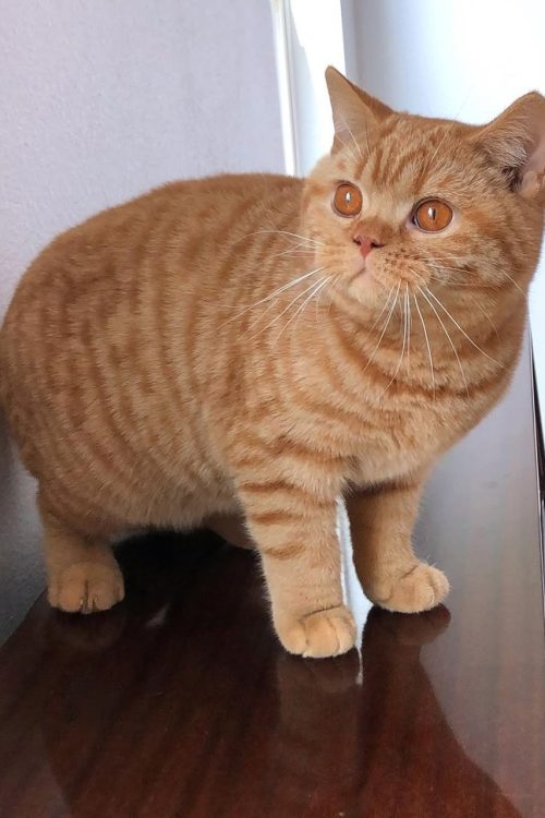 WhatsApp Image 2025-09-25 at 14.40.39 (3)