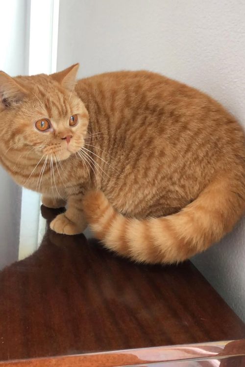 WhatsApp Image 2025-09-25 at 14.40.39