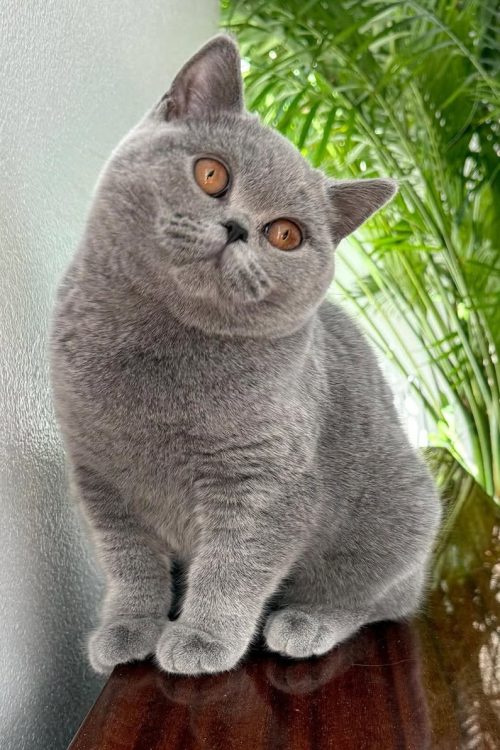 WhatsApp Image 2025-09-25 at 14.58.48 (2)