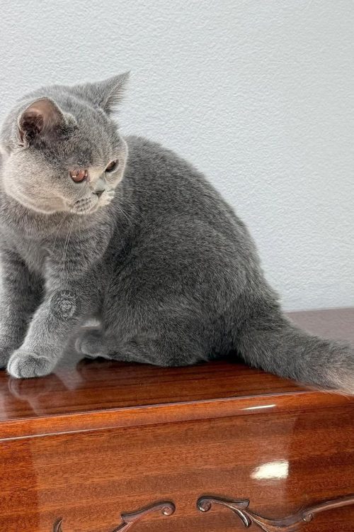 WhatsApp Image 2025-09-25 at 14.58.49