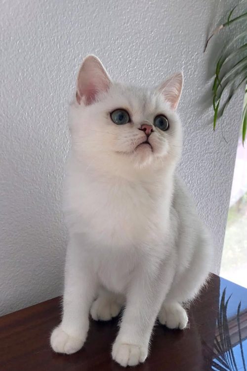 WhatsApp Image 2025-09-25 at 15.12.10 (1)