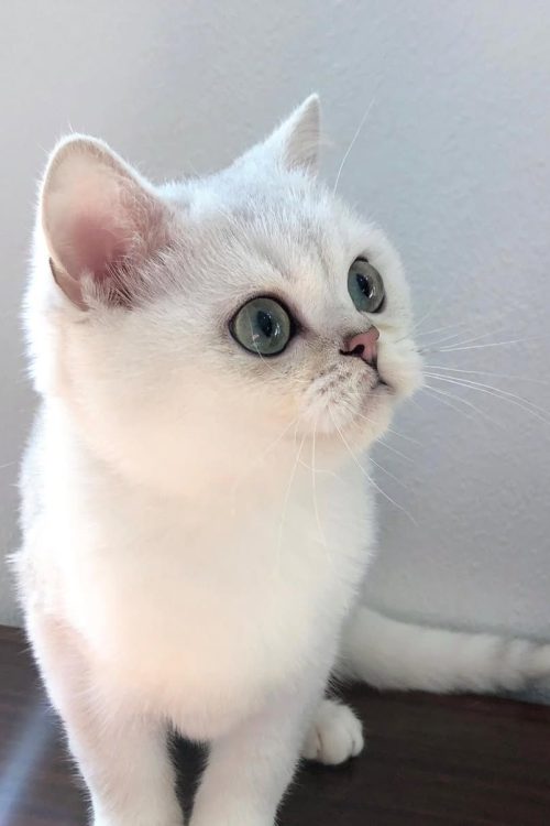 WhatsApp Image 2025-09-25 at 15.12.10 (2)