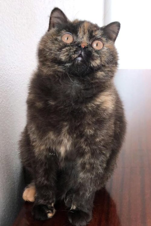 WhatsApp Image 2025-09-25 at 15.17.07 (1)