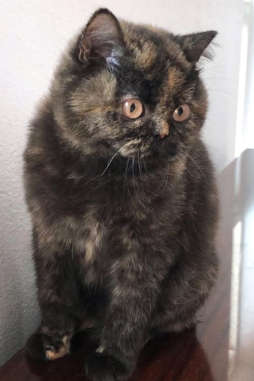 WhatsApp Image 2025-09-25 at 15.17.07 (2)