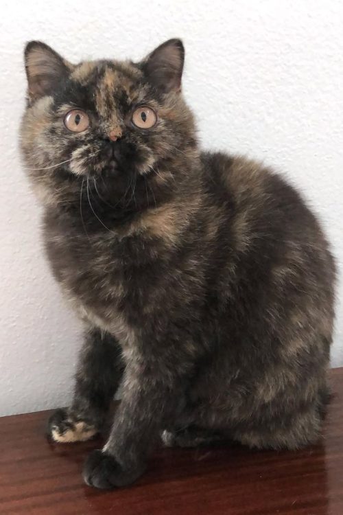 WhatsApp Image 2025-09-25 at 15.17.07