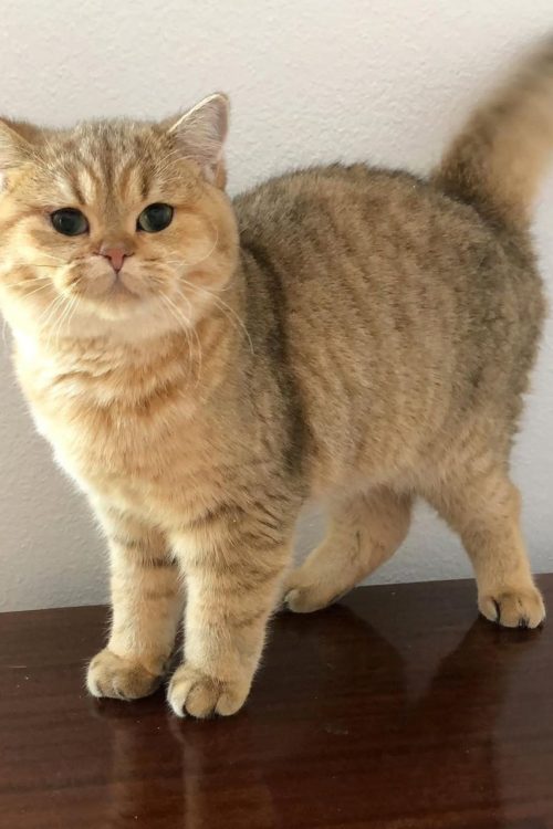 WhatsApp Image 2025-09-25 at 15.23.04 (1)