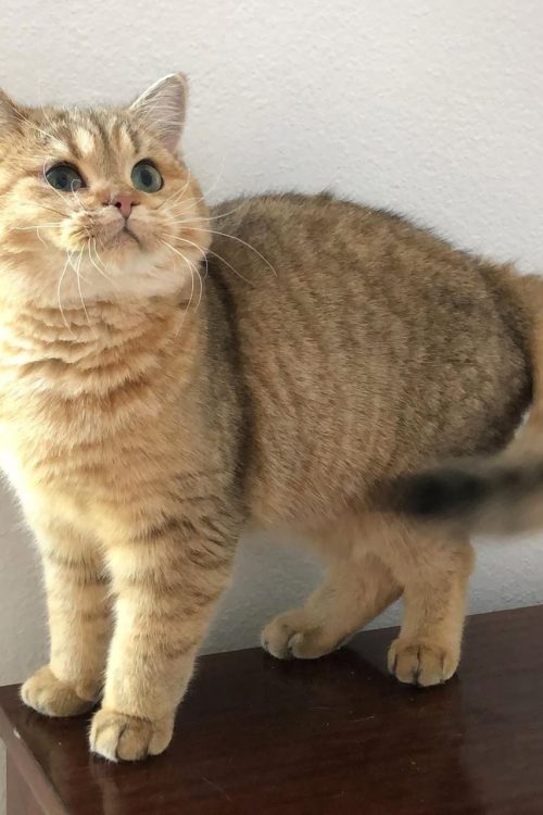 WhatsApp Image 2025-09-25 at 15.23.04