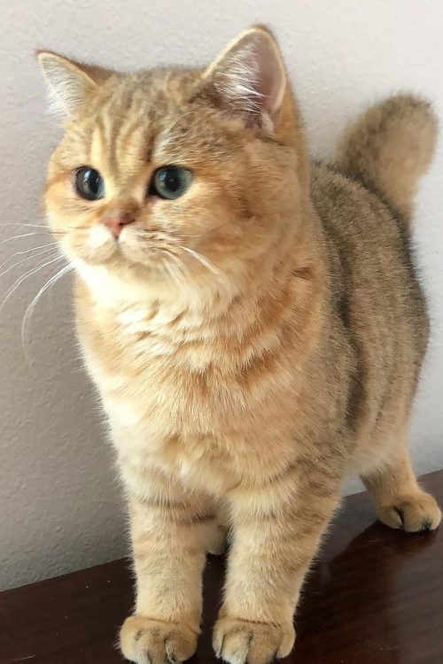 WhatsApp Image 2025-09-25 at 15.23.05 (1)