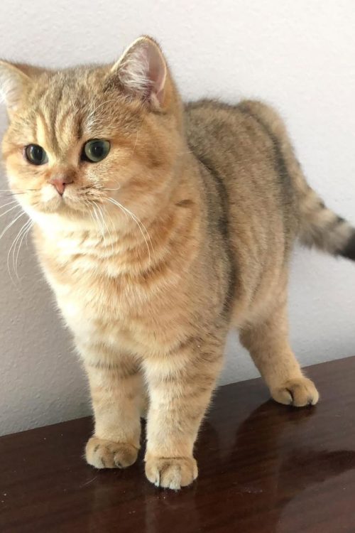 WhatsApp Image 2025-09-25 at 15.23.05