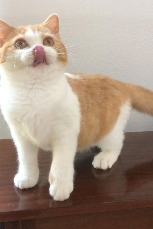 WhatsApp Image 2025-09-25 at 15.30.03 (1)