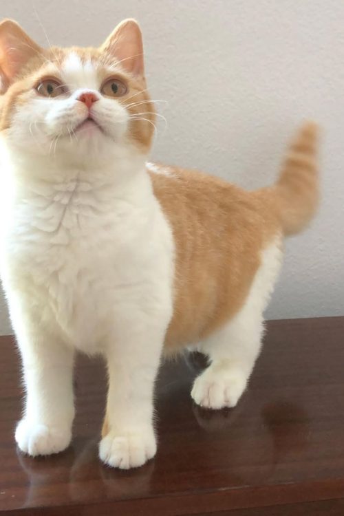 WhatsApp Image 2025-09-25 at 15.30.03