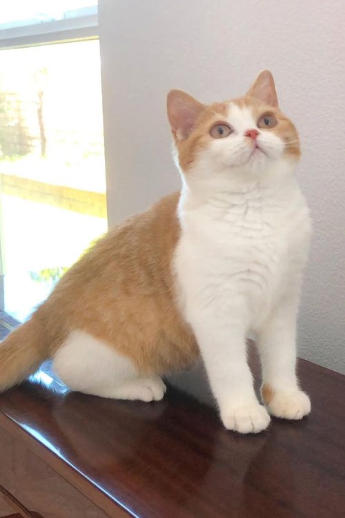 WhatsApp Image 2025-09-25 at 15.30.04