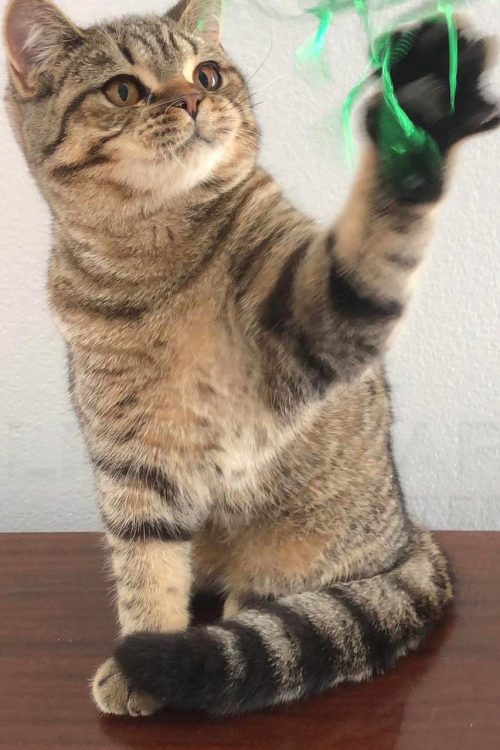 WhatsApp Image 2025-09-25 at 15.43.29