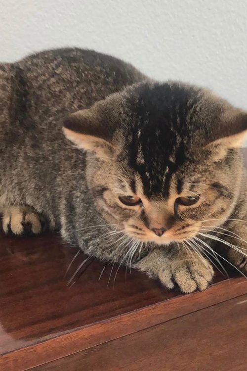 WhatsApp Image 2025-09-25 at 15.43.30 (1)