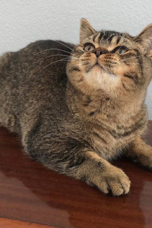 WhatsApp Image 2025-09-25 at 15.43.30 (2)