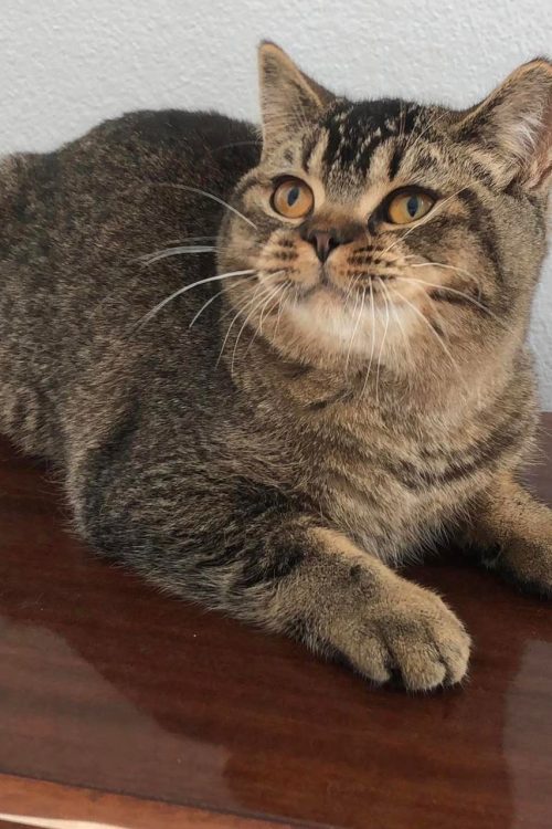 WhatsApp Image 2025-09-25 at 15.43.30