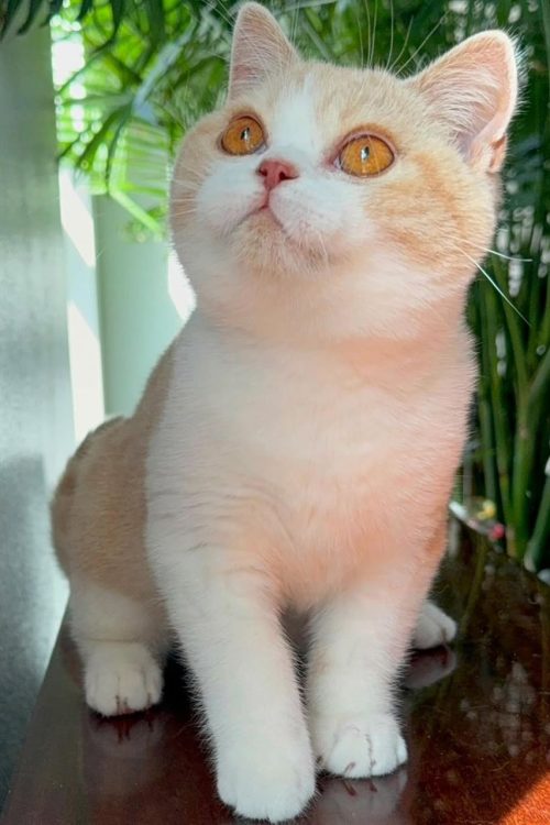 WhatsApp Image 2025-09-25 at 17.05.30 (1)