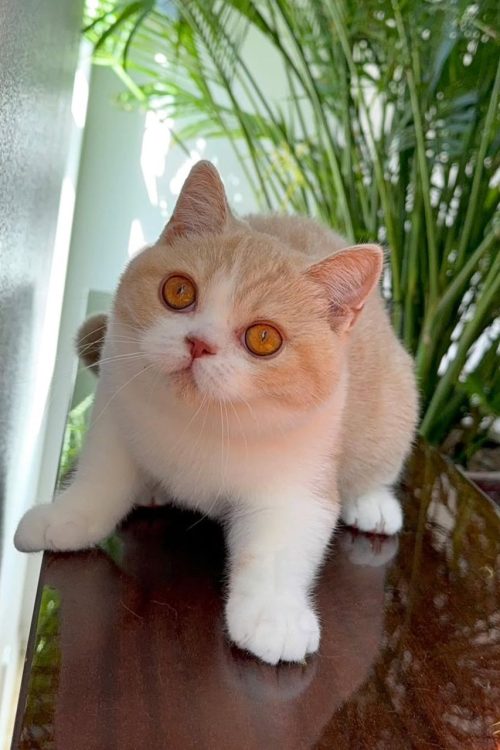 WhatsApp Image 2025-09-25 at 17.05.31