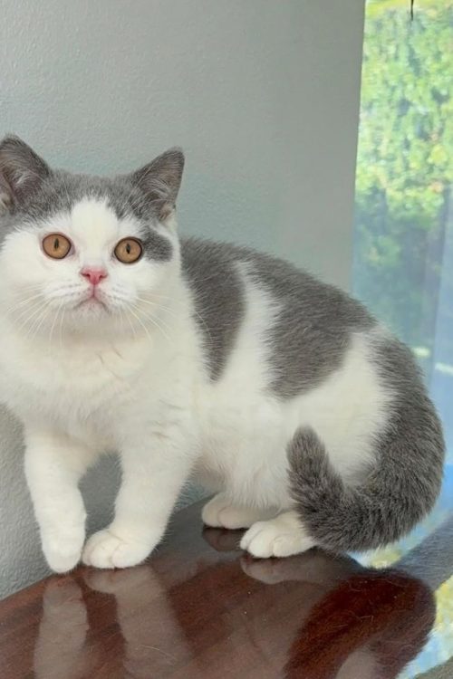 WhatsApp Image 2025-09-25 at 19.40.47 (1)