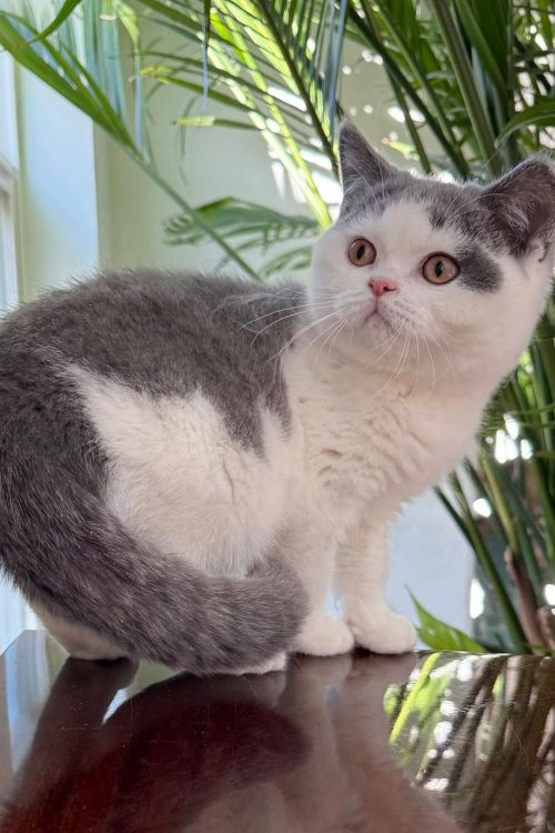 WhatsApp Image 2025-09-25 at 19.40.47 (2)