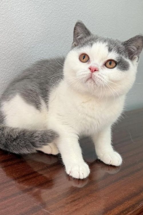 WhatsApp Image 2025-09-25 at 19.40.47