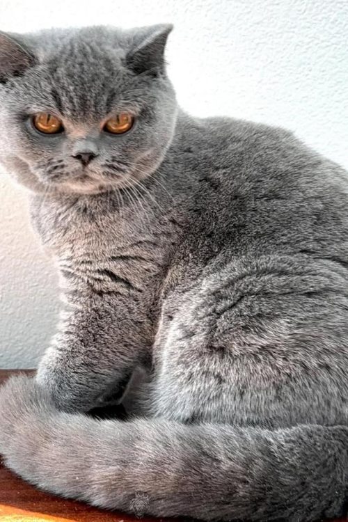 WhatsApp Image 2025-09-25 at 19.45.08 (1)