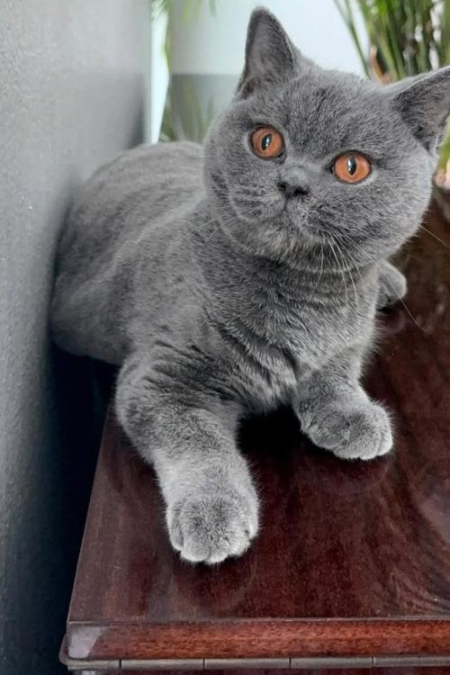 WhatsApp Image 2025-09-25 at 19.45.08 (2)