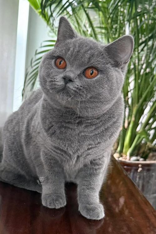 WhatsApp Image 2025-09-25 at 19.45.08