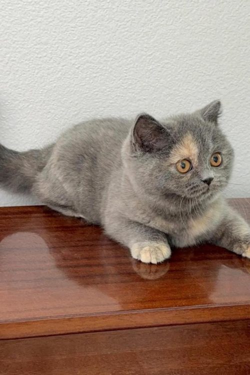 WhatsApp Image 2025-09-25 at 19.50.55 (2)