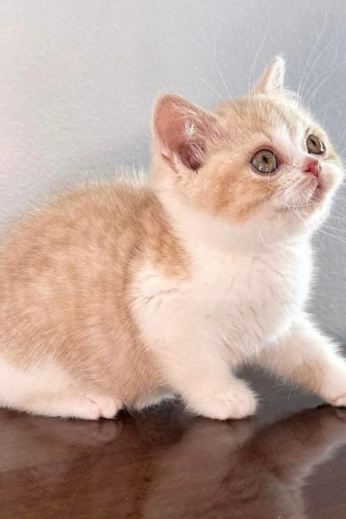 WhatsApp Image 2025-09-25 at 19.56.39 (2)