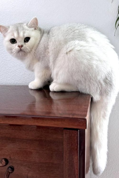 WhatsApp Image 2025-09-25 at 20.02.59 (1)