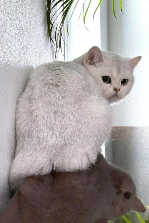 WhatsApp Image 2025-09-25 at 20.02.59 (2)