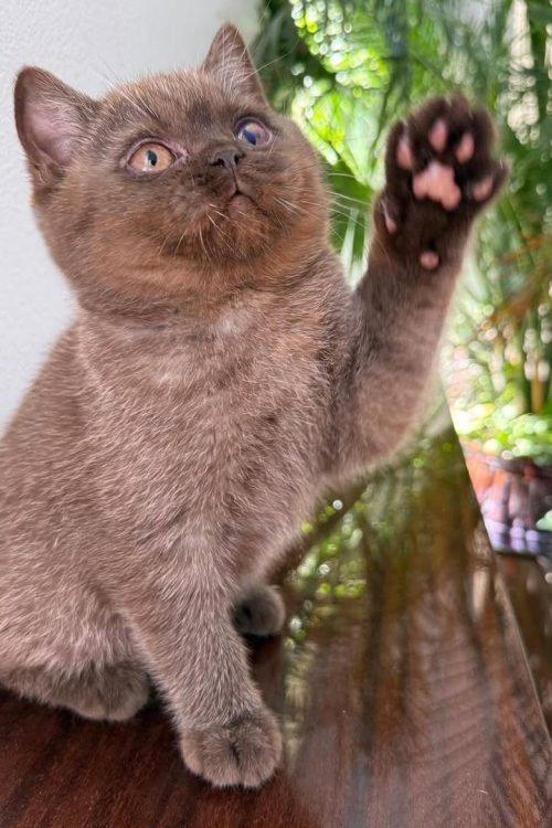 WhatsApp Image 2025-09-25 at 20.23.40